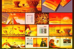 新寶股份002705公司簡評報(bào)告:全年收入增長穩(wěn)健海外表現(xiàn)優(yōu)異