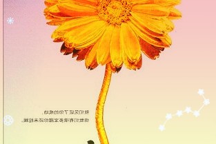 旭升股份603305：營收同比大幅增長客戶結(jié)構(gòu)逐步多元化
