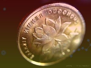 雙匯發(fā)展000895:成本紅利凸顯業(yè)績(jī)彈性將逐步釋放